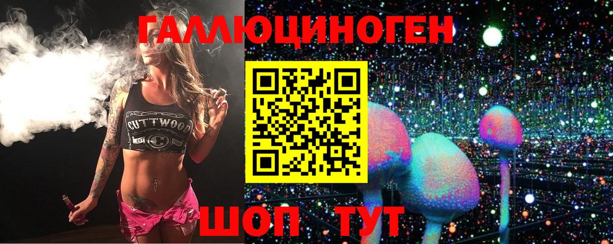 Новосибирск  Галлюциногенные грибы ЛСД  Вход с VPN 