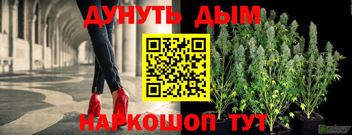 Каннабис планчик Новосибирск